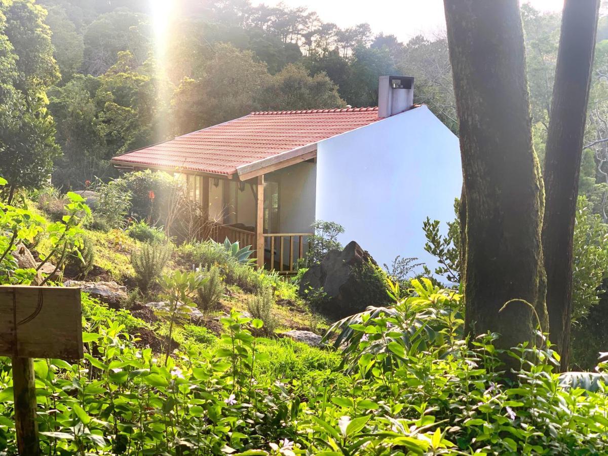 Eighteen21 - Secluded Charm In Quinta Velha Apartment *
