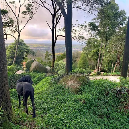 Eighteen21 Houses - Secluded Charm Cottage In Quinta Velha Sintra Extérieur photo